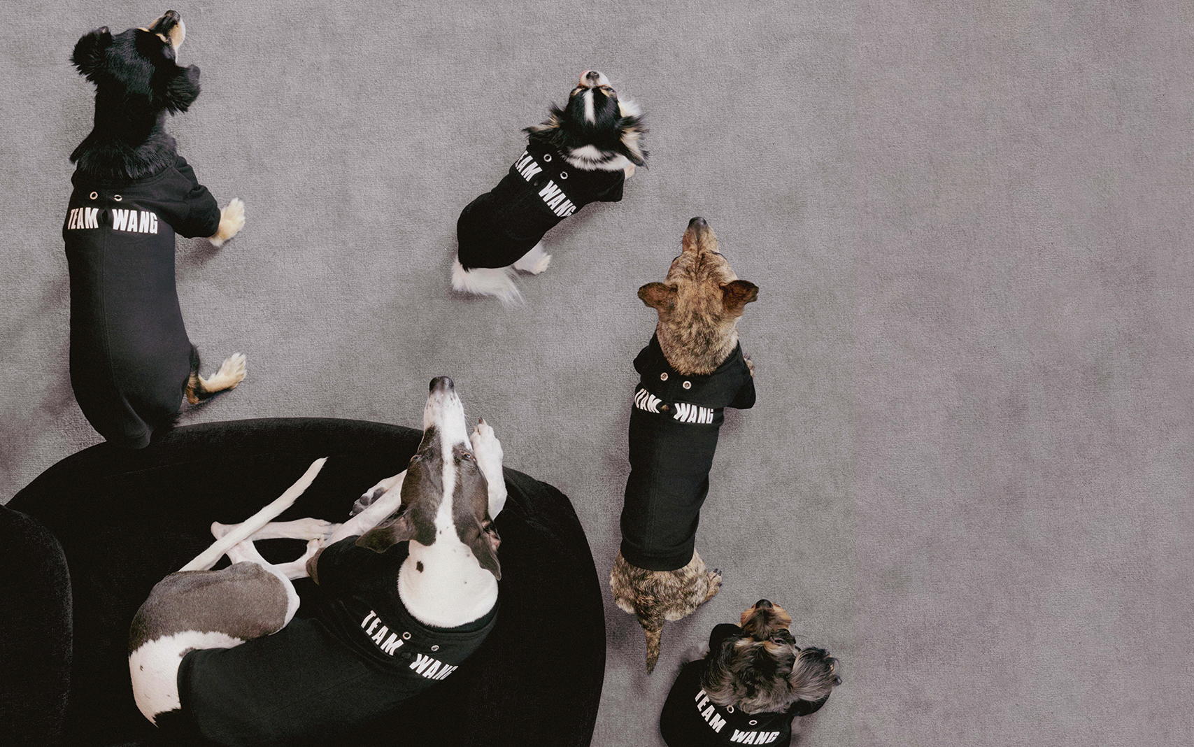 THE ORIGINAL 1 - FRIENDS