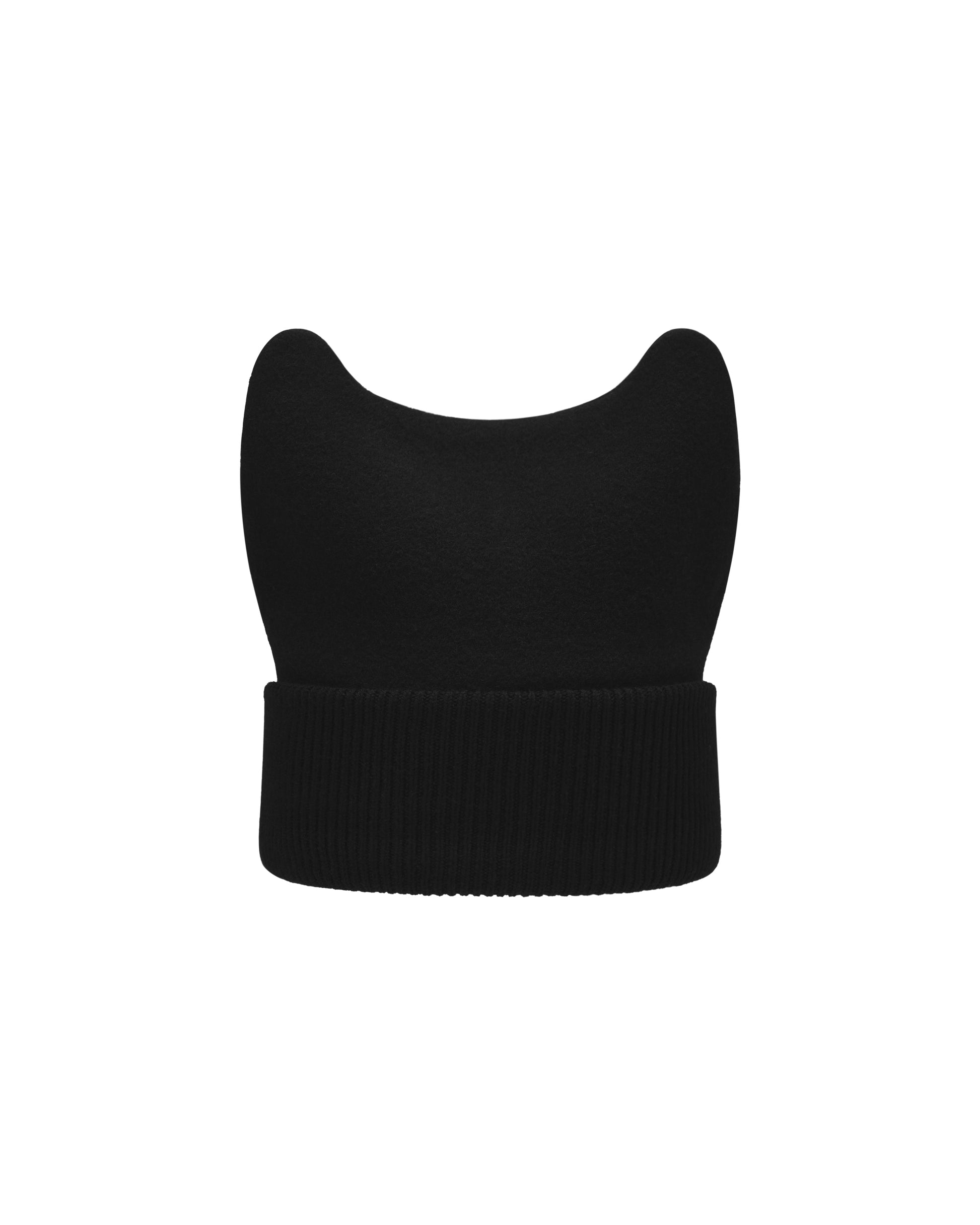 ACCEPTANCE EARS SPLICED BEANIE