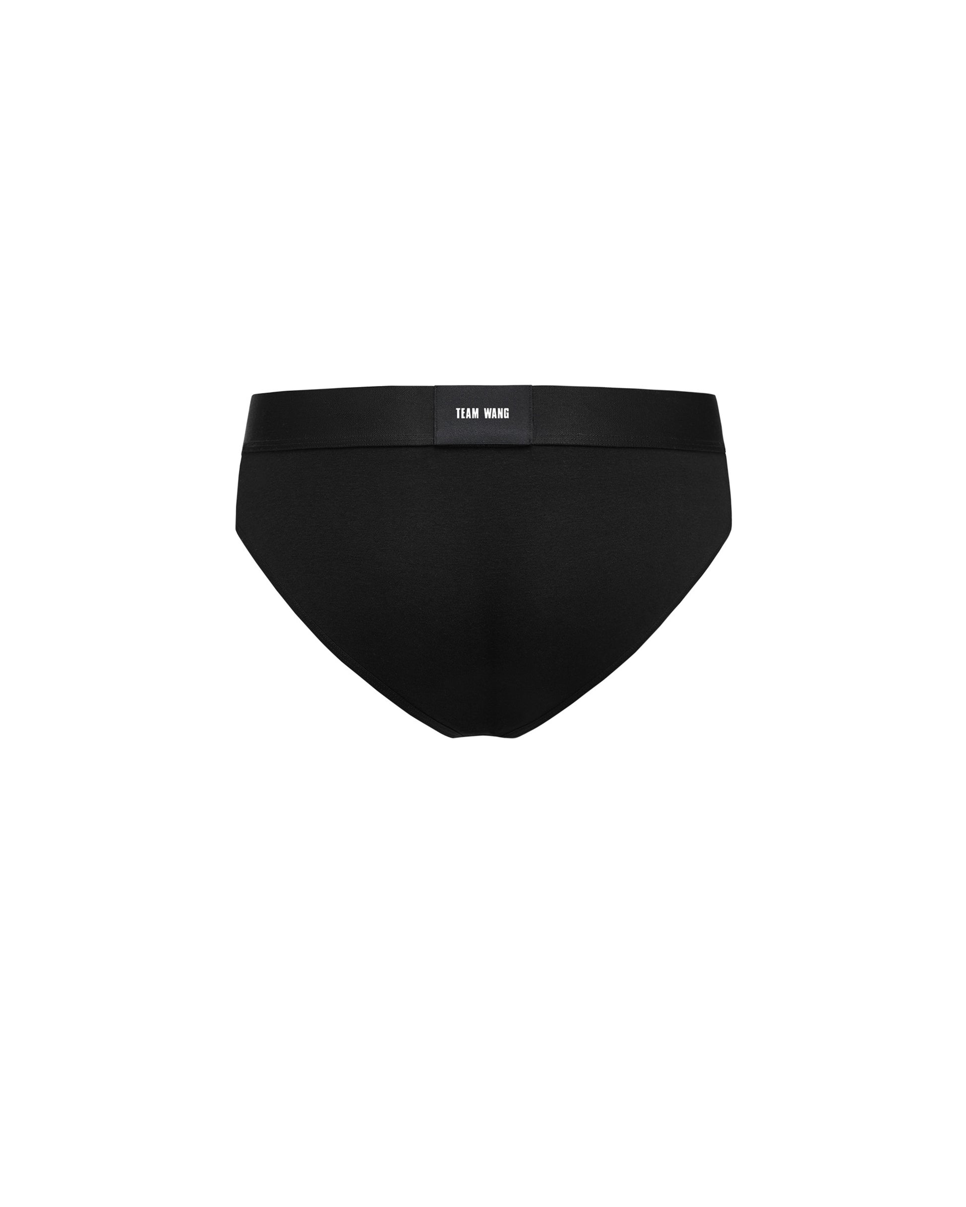 THE ORIGINAL 1 WOMEN'S BRIEFS