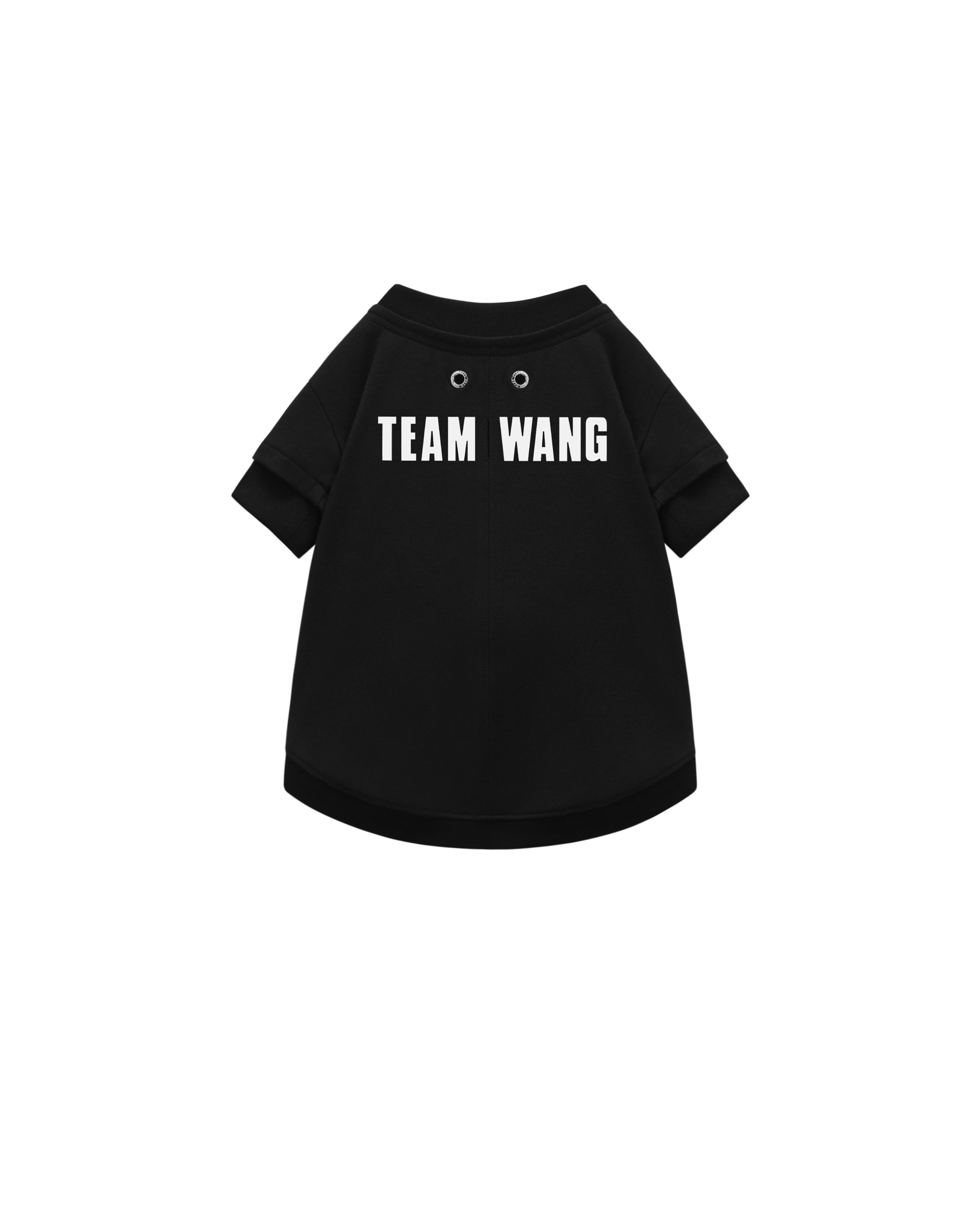 THE ORIGINAL 1 – TEAM WANG design