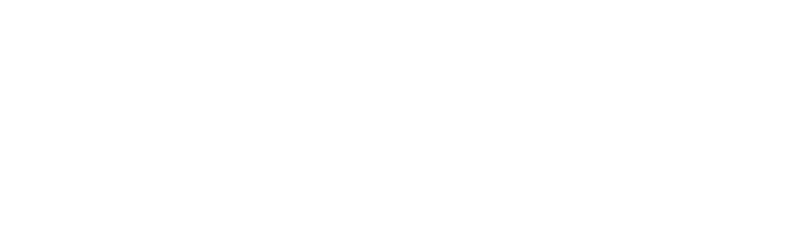TEAM WANG design